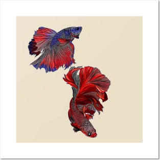 red ruby ornamental fish Posters and Art